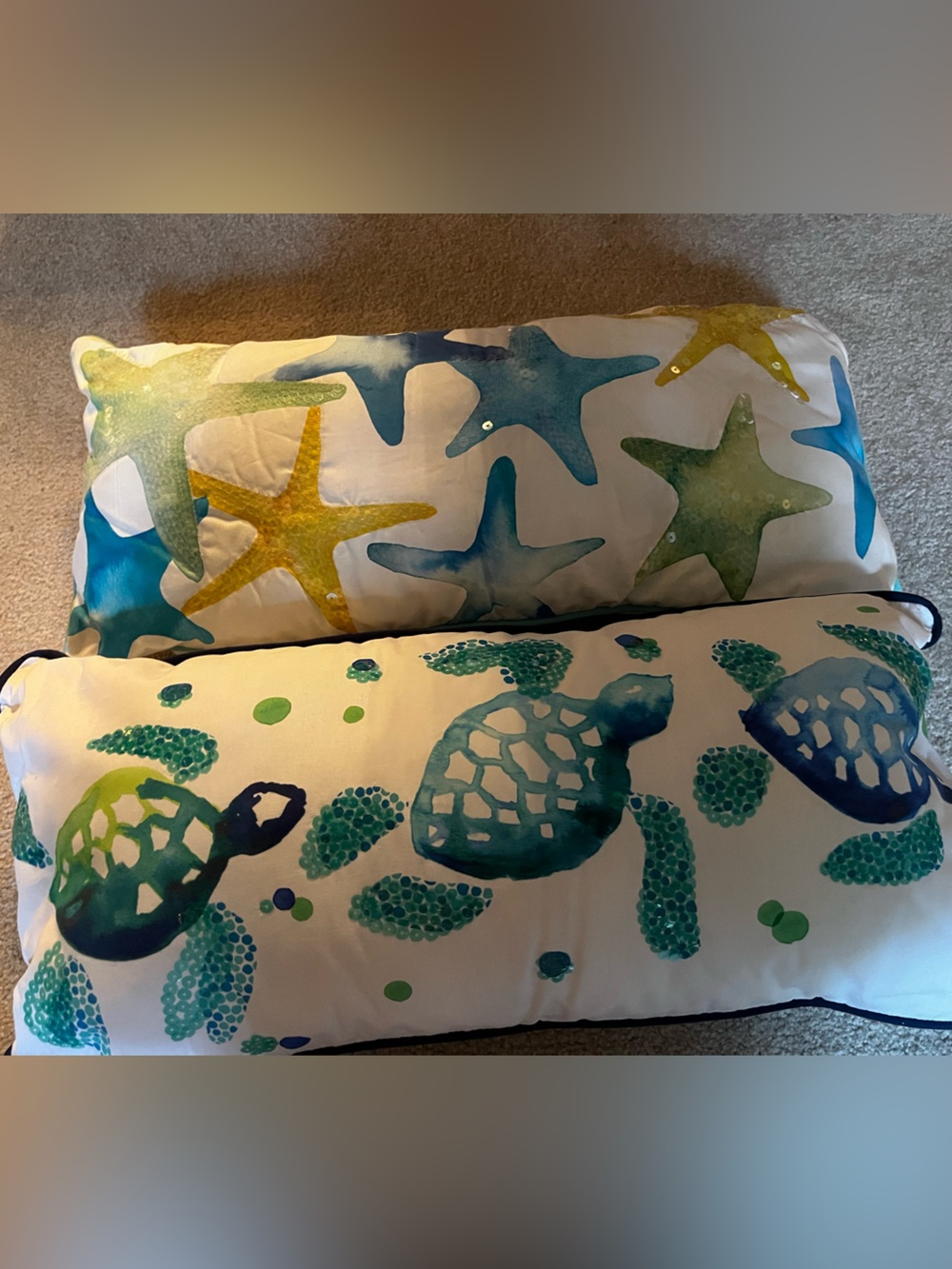 Pottery barn Teen Decorative Pillows